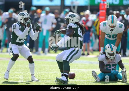 New York Jets free safety Marcus Maye (20) intercepts a pass intended for  Miami Dolphins wide receiver Preston Williams (18), during the second half  of an NFL football game, Sunday, Oct. 18