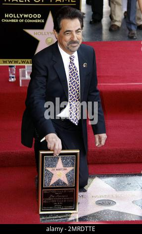 Actor Joe Montegna receives his star on the Hollywood Walk of Fame during a ceremony in Hollywood. Montegna was joined by friends and family that included Andy Garcia, 'The Event' star Clifton Collins, Jr and 'Criminal Minds' co-stars Shemar Moore, A.J. Cook, Rachel Nichols and Kirsten Vangsness, among others. Los Angeles, CA. 4/29/11. Stock Photo