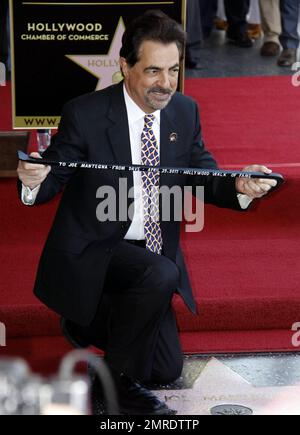 Actor Joe Montegna receives his star on the Hollywood Walk of Fame during a ceremony in Hollywood. Montegna was joined by friends and family that included Andy Garcia, 'The Event' star Clifton Collins, Jr and 'Criminal Minds' co-stars Shemar Moore, A.J. Cook, Rachel Nichols and Kirsten Vangsness, among others. Los Angeles, CA. 4/29/11. Stock Photo