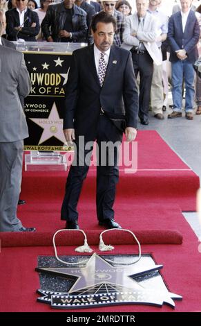 Actor Joe Montegna receives his star on the Hollywood Walk of Fame during a ceremony in Hollywood. Montegna was joined by friends and family that included Andy Garcia, 'The Event' star Clifton Collins, Jr and 'Criminal Minds' co-stars Shemar Moore, A.J. Cook, Rachel Nichols and Kirsten Vangsness, among others. Los Angeles, CA. 4/29/11. Stock Photo