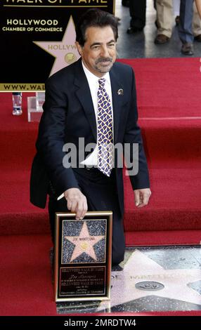 Actor Joe Montegna receives his star on the Hollywood Walk of Fame during a ceremony in Hollywood. Montegna was joined by friends and family that included Andy Garcia, 'The Event' star Clifton Collins, Jr and 'Criminal Minds' co-stars Shemar Moore, A.J. Cook, Rachel Nichols and Kirsten Vangsness, among others. Los Angeles, CA. 4/29/11. Stock Photo