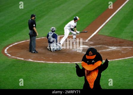 Orioles Mascot Stock-Fotos und Bilder - Getty Images