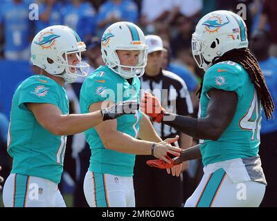 Miami Dolphins kicker (1) Cody Parker and punter (16) Matt Haack