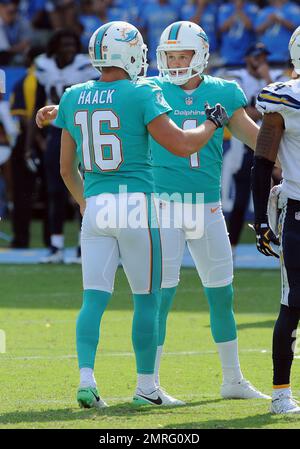 Miami Dolphins kicker (1) Cody Parker and punter (16) Matt Haack react  after a successful Parker field goal in the fourth quarter of an NFL game  against the Los Angeles Chargers played