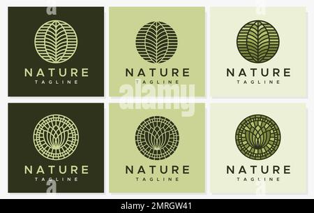 Line leaf logo design set. Modern nature line logo vector template. Stock Vector