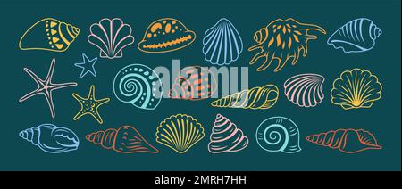 Sea shell sink doodle cartoon set. Ocean ornamental exotic underwater seashell conch aquatic mollusk, sea spiral snail marine starfish line symbol collection. Beach shells aquatic design illustration Stock Vector