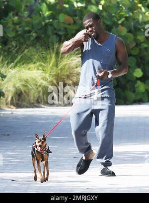 Comedic actor Kevin Hart is spotted walking his dog while conversing on his cell phone and wearing slippers paired with a grey sweat suit outside his Miami hotel. Miami, FL. July 18, 2014. Stock Photo