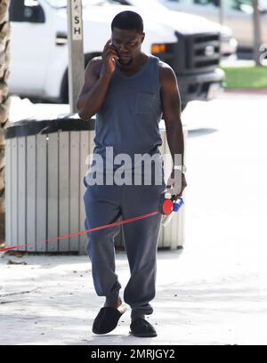 Comedic actor Kevin Hart is spotted walking his dog while conversing on his cell phone and wearing slippers paired with a grey sweat suit outside his Miami hotel. Miami, FL. July 18, 2014. Stock Photo