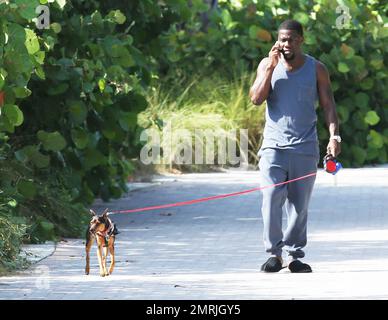 Comedic actor Kevin Hart is spotted walking his dog while conversing on his cell phone and wearing slippers paired with a grey sweat suit outside his Miami hotel. Miami, FL. July 18, 2014. Stock Photo