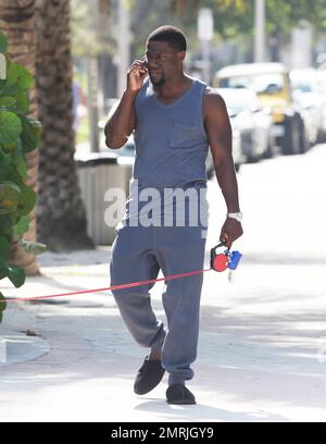 Comedic actor Kevin Hart is spotted walking his dog while conversing on his cell phone and wearing slippers paired with a grey sweat suit outside his Miami hotel. Miami, FL. July 18, 2014. Stock Photo