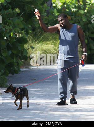 Comedic actor Kevin Hart is spotted walking his dog while conversing on his cell phone and wearing slippers paired with a grey sweat suit outside his Miami hotel. Miami, FL. July 18, 2014. Stock Photo