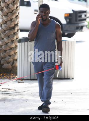 Comedic actor Kevin Hart is spotted walking his dog while conversing on his cell phone and wearing slippers paired with a grey sweat suit outside his Miami hotel. Miami, FL. July 18, 2014. Stock Photo