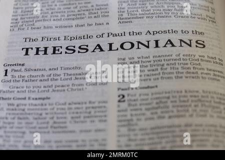 A closeup of "The First Epistle of Paul the Apostle to Timothy" in Holy ...