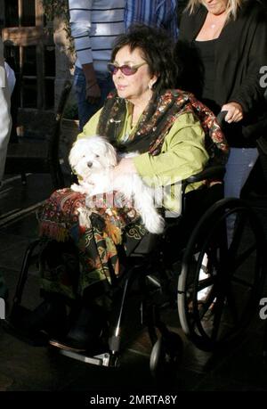 Hollywood royalty Liz Taylor makes a short appearance with her dog and