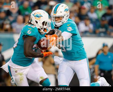 Jay Cutler, Miami Dolphins Stock Photo - Alamy