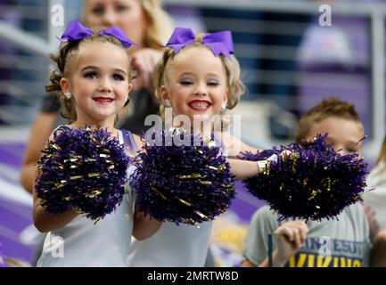 Minnesota Vikings fans cheer before an NFL football game between the Miami  Dolphins and Minnesota Vikings, Sunday, Oct. 16, 2022, in Miami Gardens,  Fla. (AP Photo/Lynne Sladky Stock Photo - Alamy