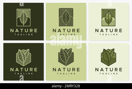 Line leaves logo design set. Plant line logo graphic vector. Stock Vector