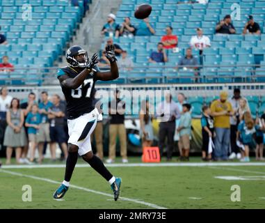 Jacksonville Jaguars tight end Neal Sterling (87) is congratulated by tight  end Braedon Bowman (86) after catching a pass for a touchdown during the  second half of an NFL preseason football game