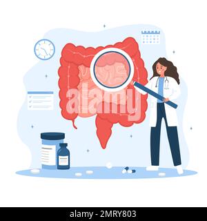 Proctologist concept. Female doctor with magnifier examine intestine. Woman in lab coat analysis perianal area. Medical check up. Vector illustration Stock Vector