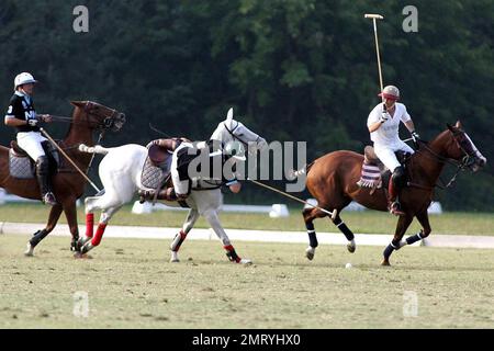 Polo teams compete in the Mediolanum Cup Tournament at the Blu Team Sport Club. Novara, Italy. 9/21/08. Stock Photo