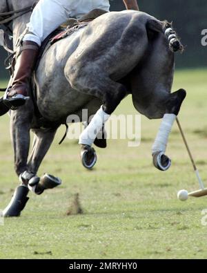 Polo teams compete in the Mediolanum Cup Tournament at the Blu Team Sport Club. Novara, Italy. 9/21/08. Stock Photo