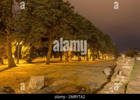 alley of city park trees in Trieste city by night, Italy Stock Photo