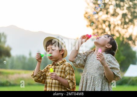 The two children on the grass blowing bubbles Stock Photo