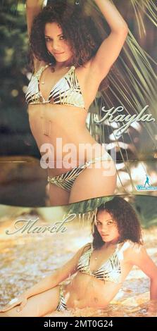 Webbspun Ideas: Tennessee Titans Cheerleaders 2009 swimsuit calendar