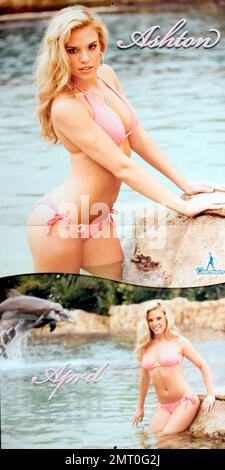 The Miami Dolphin cheerleaders have launched their latest swimsuit calendar. The 2009 calendar  includes 16 months from September, 2008 to December 2009 and features a beauty in each month along with a large centerfold featuring group shots of the girls. The backdrop for this year's calendar was Discovery Cove in Orlando, FL where the cheerleaders met and posed with the dolphins and exotic birds in tropical settings. Miami, FL. 8/14/08.   /MIAMIDOLPHINS Stock Photo