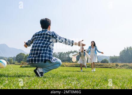 My mother and daughter happily ran to my father's arms Stock Photo