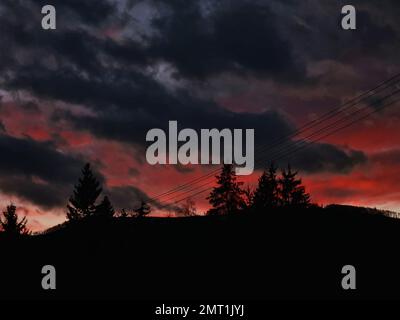 The silhouettes of trees under the cloudy sunset sky Stock Photo