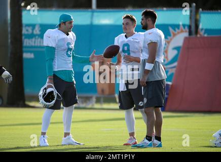 Miami Dolphins' Jay Cutler (right) is sacked for a loss by New Orleans  Saints' Cameron Jordan (94) during the NFL International Series match at  Wembley Stadium, London Stock Photo - Alamy