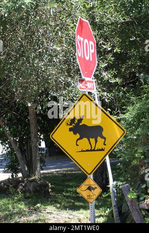 https://l450v.alamy.com/450v/2mt1we0/at-age-19-miley-cyrus-has-reportedly-purchased-her-third-home-for-39-million-in-a-studio-city-neighborhood-that-includes-moose-and-kangaroo-crossing-signs-on-the-corner-according-to-reports-the-actress-and-singer-has-purchased-this-5173-square-foot-5-bedroom-65-bathroom-estate-which-wasiginally-built-in-1952-and-was-recently-gutted-and-remodeled-the-multi-winged-contemporary-california-ranch-style-residence-includes-a-two-pronged-bedroom-with-with-two-family-bedrooms-both-with-private-baths-and-a-master-suite-with-private-sitting-room-fireplace-skylight-and-spa-style-bathroom-fea-2mt1we0.jpg