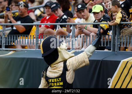 Steely McBeam, the mascot of the Pittsburgh Steelers walks on the field  before an NFL football game between the Pittsburgh Steelers and Cincinnati  Bengals in Pittsburgh, Sunday, Dec. 15, 2013. The Steelers