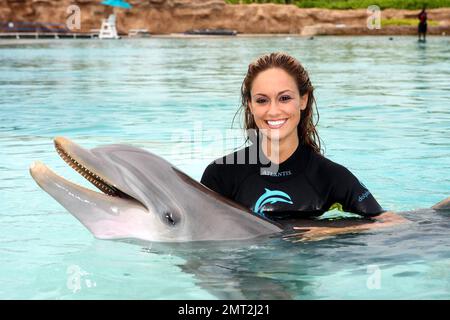 Exclusive!!  Miss Pennsylvania Lauren Merola at Dolphin Cay at Atlantis, Paradise Island in the Bahamas 06/13/08. Stock Photo