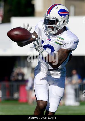 Buffalo Bills wide receiver Josh Reed scores a touchdown against the Miami  Dolphins in the third quarter. The Bills defeated the Dolphins, 21-0, at  Ralph Wilson Stadium in Orchard Park, New York