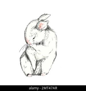 Bunny Drawing In Pencil Drawing Bunny Drawing Pencil Drawing Art  Background, Cute Bunny Picture Drawing, Cute, Rabbit Background Image And  Wallpaper for Free Download