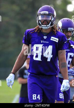 Ambitious Vikings tight end Bucky Hodges to wear No. 84