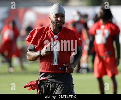 Tampa Bay Buccaneers wide receiver DeSean Jackson during an