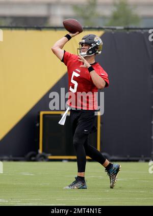 Blake Bortles, Jacksonville Jaguars Stock Photo - Alamy