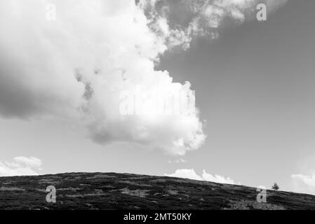 Black and white photo of a tree on a hill under the clouds in the mountains. Stock Photo