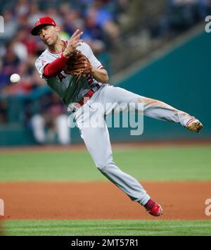 Andrelton Simmons #2 of the Los Angeles Angels is congratulated by