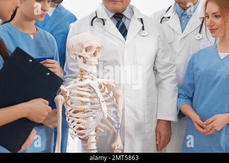 Professional orthopedist with human skeleton model teaching medical students, closeup Stock Photo