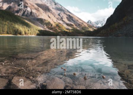 Transparent water of a lake with stones and dry grass in Altai under the sky against the backdrop of mountains with snow and glaciers. Stock Photo