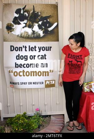 Octomom Nadya Suleman unveils new PETA campaign Stock Photo