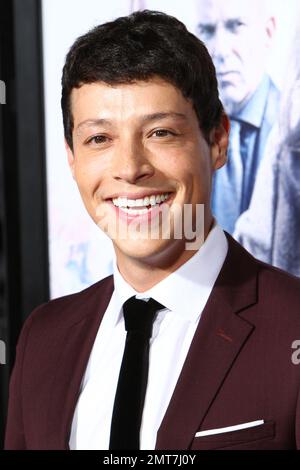 Reynaldo Pacheco arrives at the premiere of Our Brand is Crisis at the TCL Theatre. Los Angeles, CA. 26th October 2015. Stock Photo