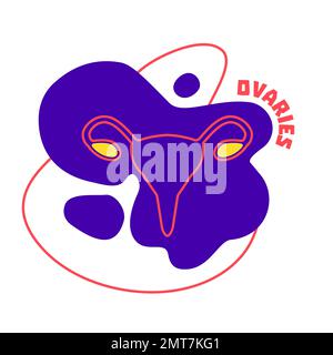 Ovaries endocrine and female reproductive system body organ outline icon Stock Vector