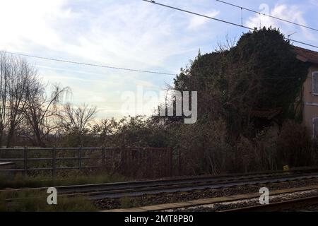 Abandoned  building covered by ivy by the edge of a railroad track on a cloudy day in the italian countryside Stock Photo