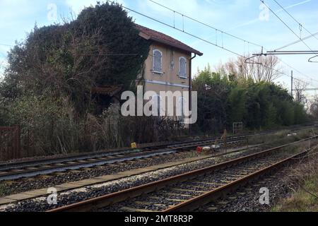 Abandoned  building covered by ivy by the edge of a railroad track on a cloudy day in the italian countryside Stock Photo