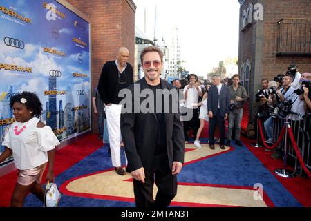 Spider-Man: Homecoming' – Tom Holland, Zendaya, Robert Downey Jr. and more  stars attend LA premiere – Orange County Register